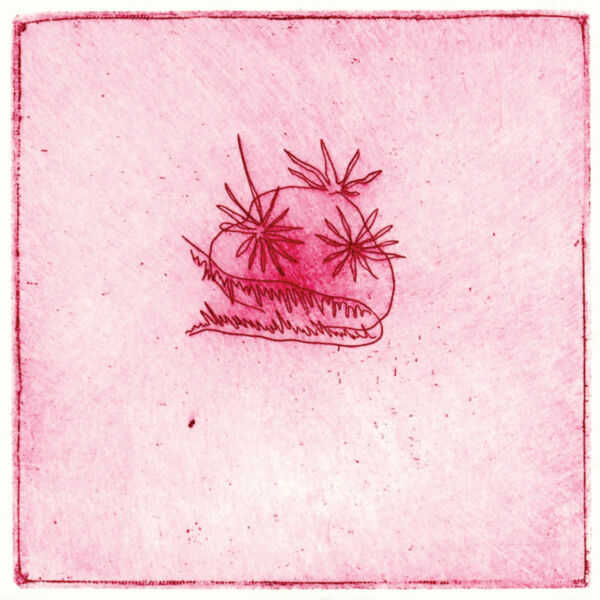 Soomee Yu, Angry Tomato, 2025, etching on paper, image: 10 x 10 cm